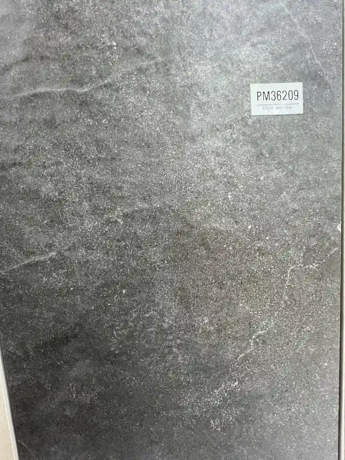 PM36209